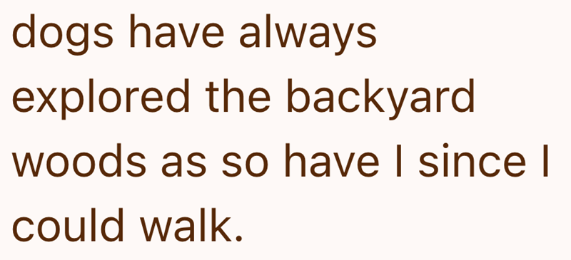 dogs have always explored the backyard woods as so have I since I could walk.