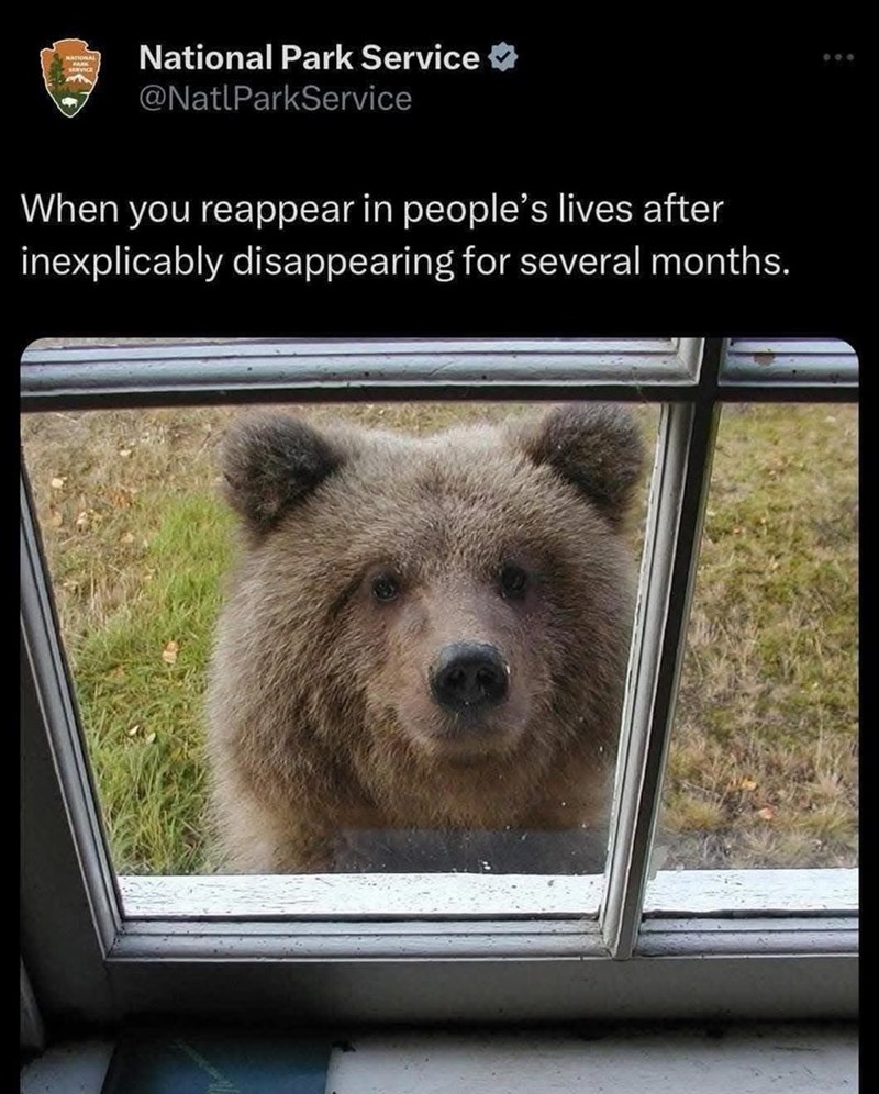 National Park Service @NatlParkService When you reappear in people's lives after inexplicably disappearing for several months. 600