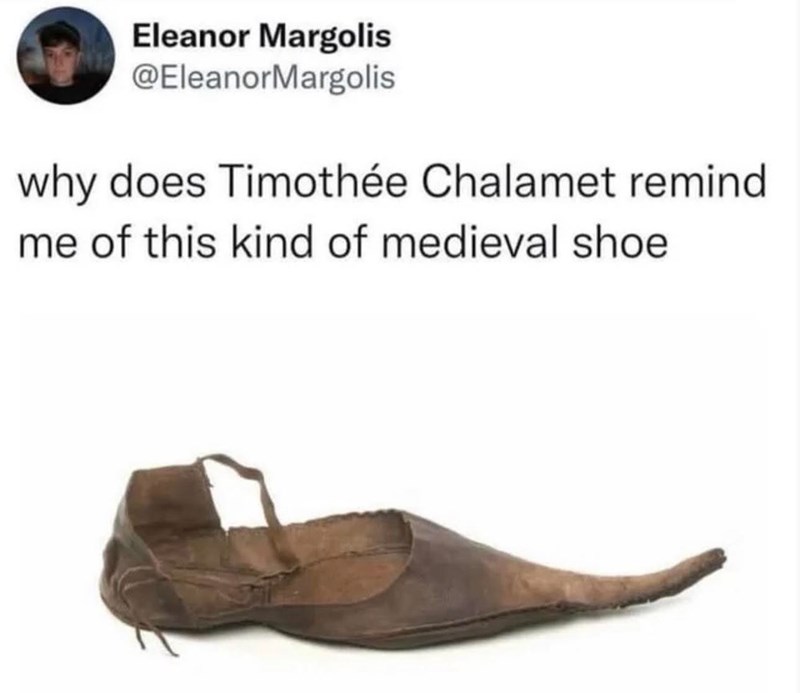Eleanor Margolis @EleanorMargolis why does Timothée Chalamet remind me of this kind of medieval shoe