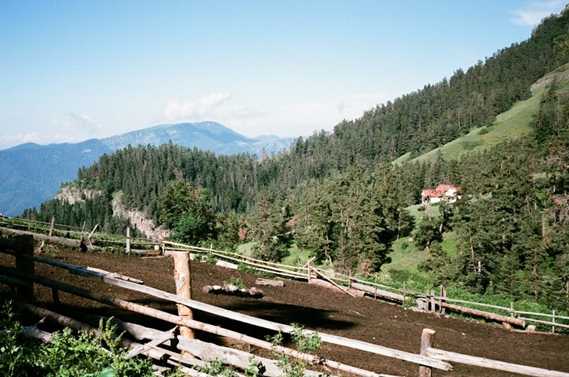 Tree-covered wilderness with a house and mountains visible.