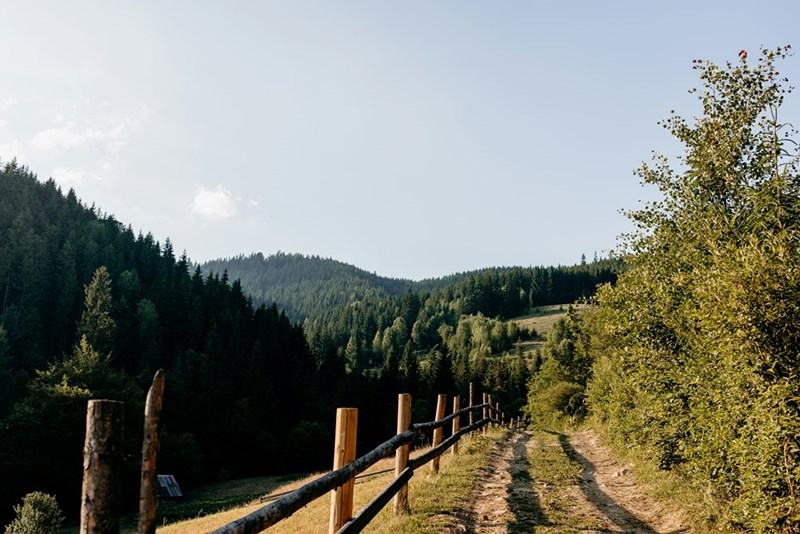 Wooden fence seperates 2 neighbor's properties.