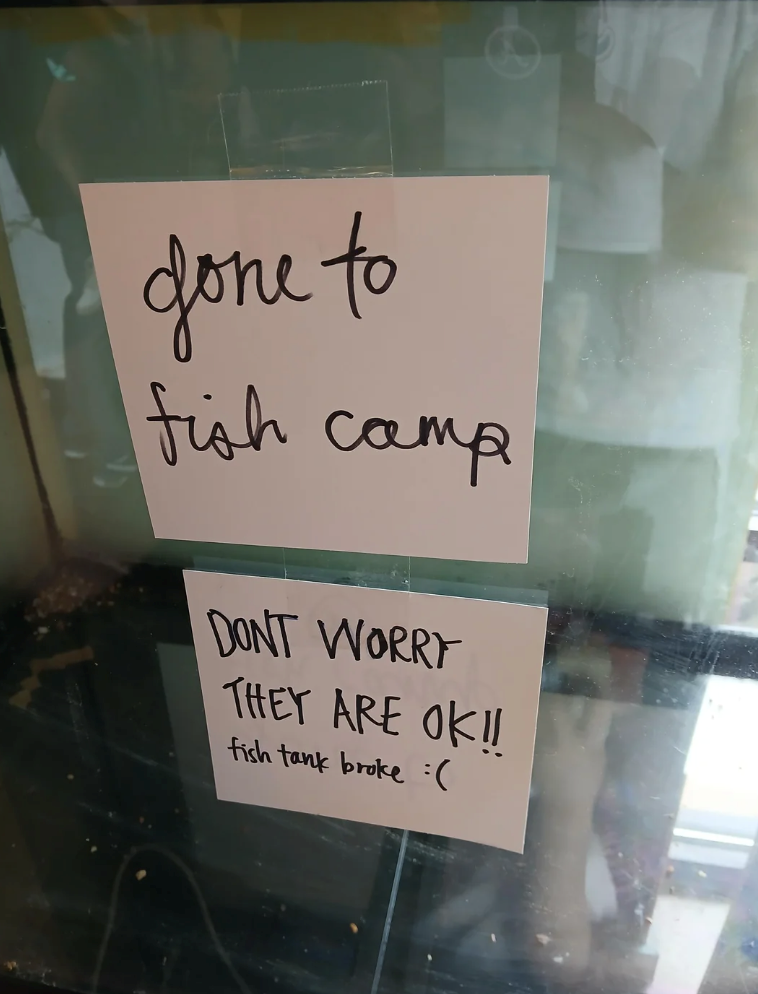Jone to fish camp DONT WORRY THEY ARE OK!! fish tank broke (
