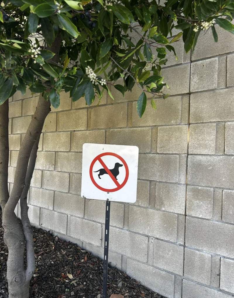 Cheezburger Image 10614960896