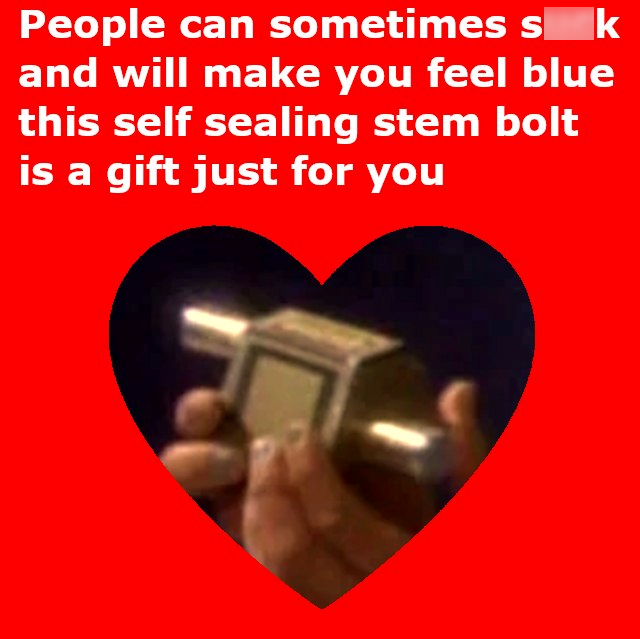 People can sometimes sk and will make you feel blue this self sealing stem bolt is a gift just for you