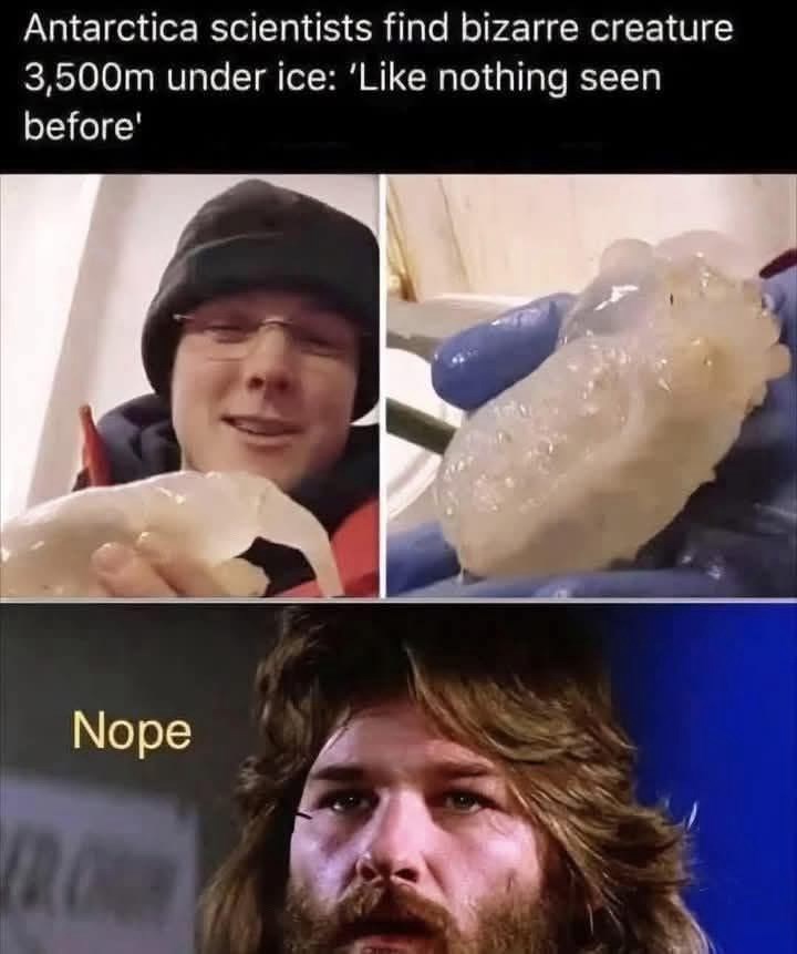 Antarctica scientists find bizarre creature 3,500m under ice: 'Like nothing seen before' Nope