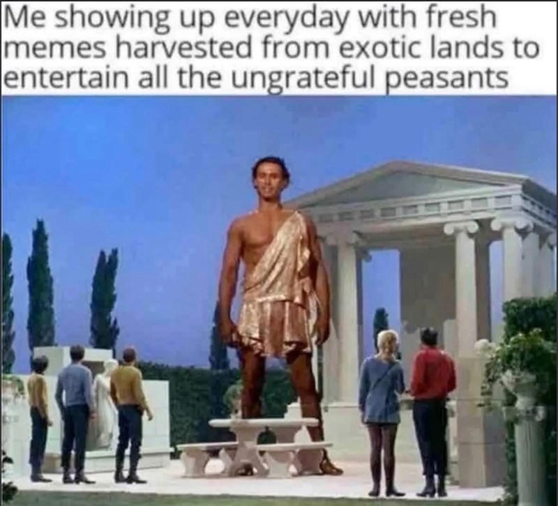 Me showing up everyday with fresh memes harvested from exotic lands to entertain all the ungrateful peasants