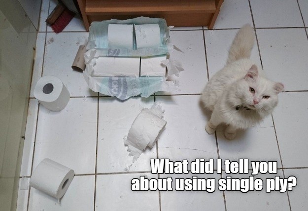 Cheezburger Image 10614971904