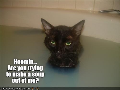 Cheezburger Image 10614972160