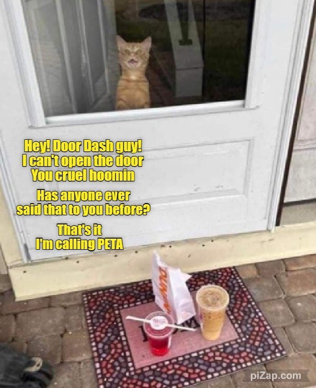 Cheezburger Image 10614972416