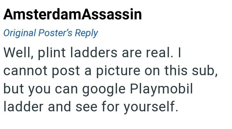 AmsterdamAssassin Original Poster's Reply Well, plint ladders are real. I cannot post a picture on this sub, but you can google Playmobil ladder and see for yourself.
