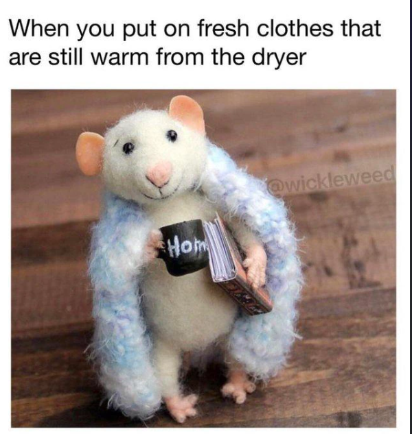 When you put on fresh clothes that are still warm from the dryer Hom @wickleweed
