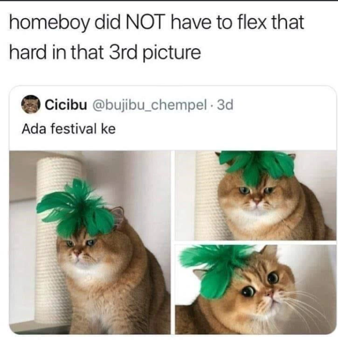 homeboy did NOT have to flex that hard in that 3rd picture Cicibu @bujibu_chempel. 3d Ada festival ke