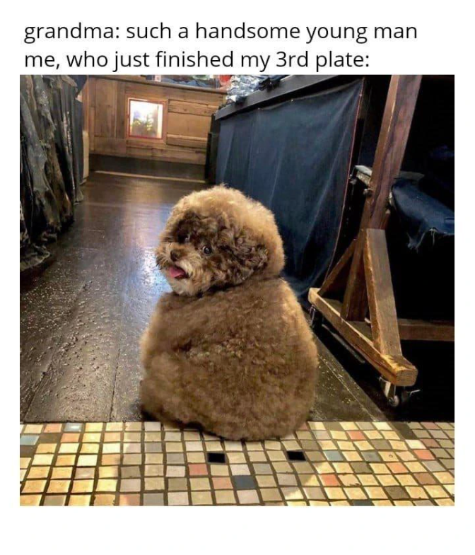 grandma: such a handsome young man me, who just finished my 3rd plate: