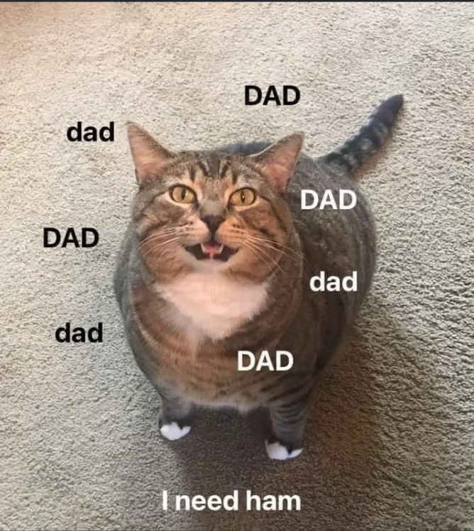 DAD dad DAD DAD dad DAD I need ham dad