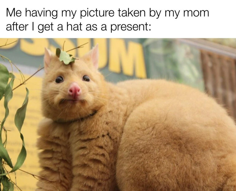 Me having my picture taken by my mom after I get a hat as a present: M