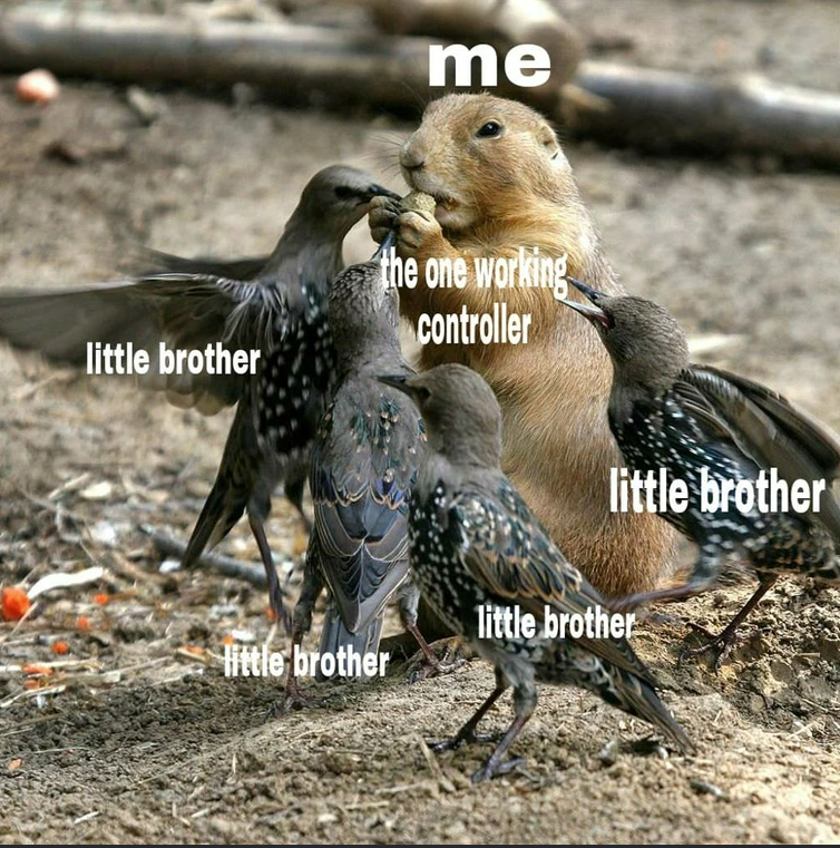 little brother me the one working controller little brother little brother little brother