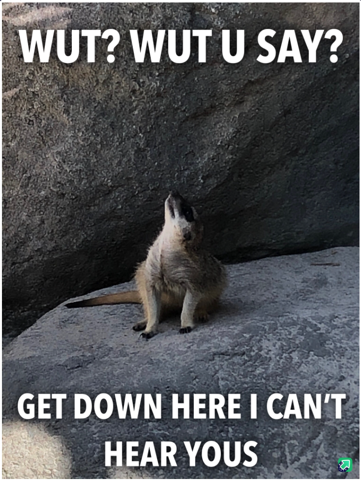 WUT? WUT U SAY? GET DOWN HERE I CAN'T HEAR YOUS