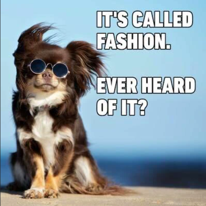IT'S CALLED FASHION. EVER HEARD OF IT?