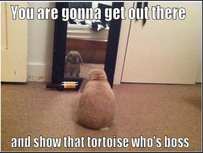You are gonna get out there and show that tortoise who's boss