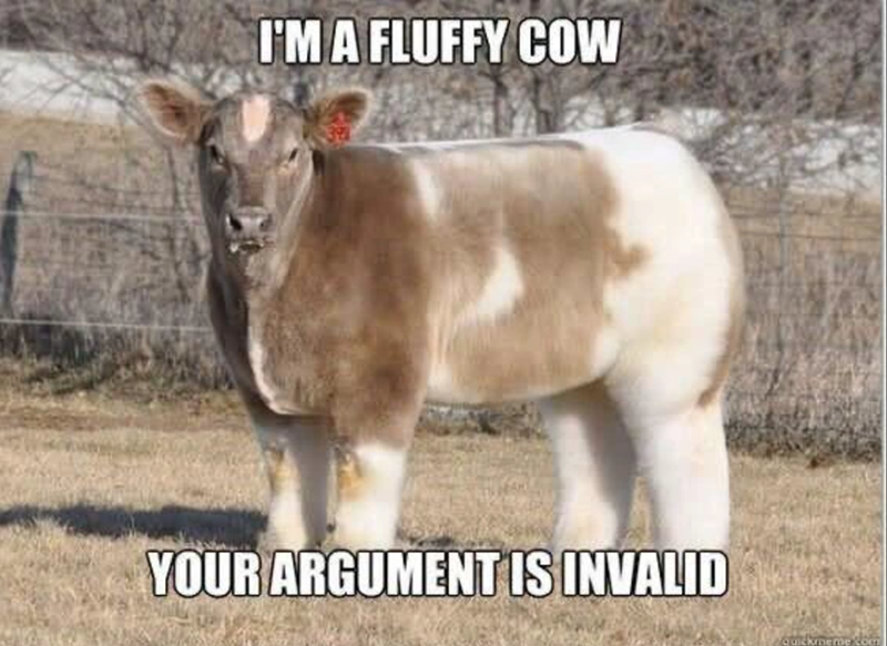 I'M A FLUFFY COW YOUR ARGUMENT IS INVALID