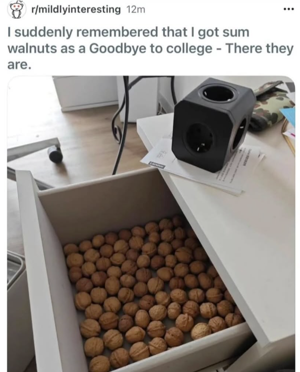 r/mildlyinteresting 12m I suddenly remembered that I got sum walnuts as a Goodbye to college - There they are.
