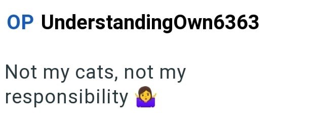 OP UnderstandingOwn6363 Not my cats, not my responsibility ①