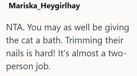 Mariska Heygirlhay NTA. You may as well be giving the cat a bath. Trimming their nails is hard! It's almost a two- person job.