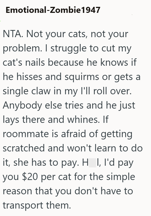 Emotional-Zombie1947 NTA. Not your cats, not your problem. I struggle to cut my cat's nails because he knows if he hisses and squirms or gets a single claw in my I'll roll over. Anybody else tries and he just lays there and whines. If roommate is afraid of getting scratched and won't learn to do it, she has to pay. H I, I'd pay you $20 per cat for the simple reason that you don't have to transport them.