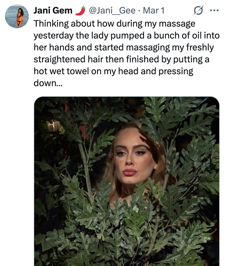 Jani Gem @Jani_Gee Mar 1 • Thinking about how during my massage yesterday the lady pumped a bunch of oil into her hands and started massaging my freshly straightened hair then finished by putting a hot wet towel on my head and pressing down...