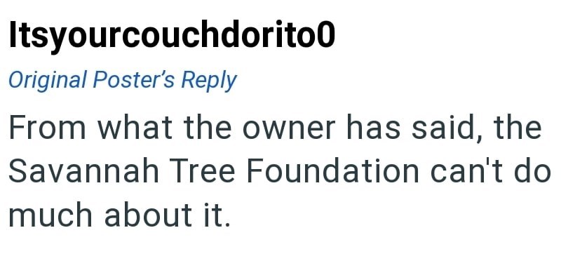 Cheezburger Image 10615069696