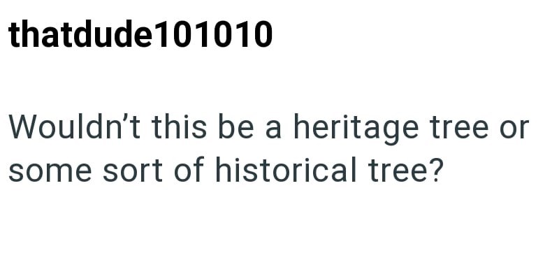 Cheezburger Image 10615069952