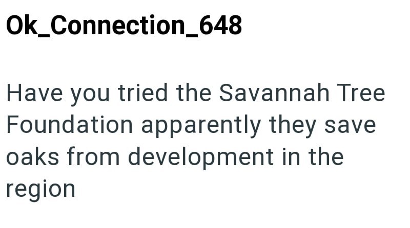 Cheezburger Image 10615070464