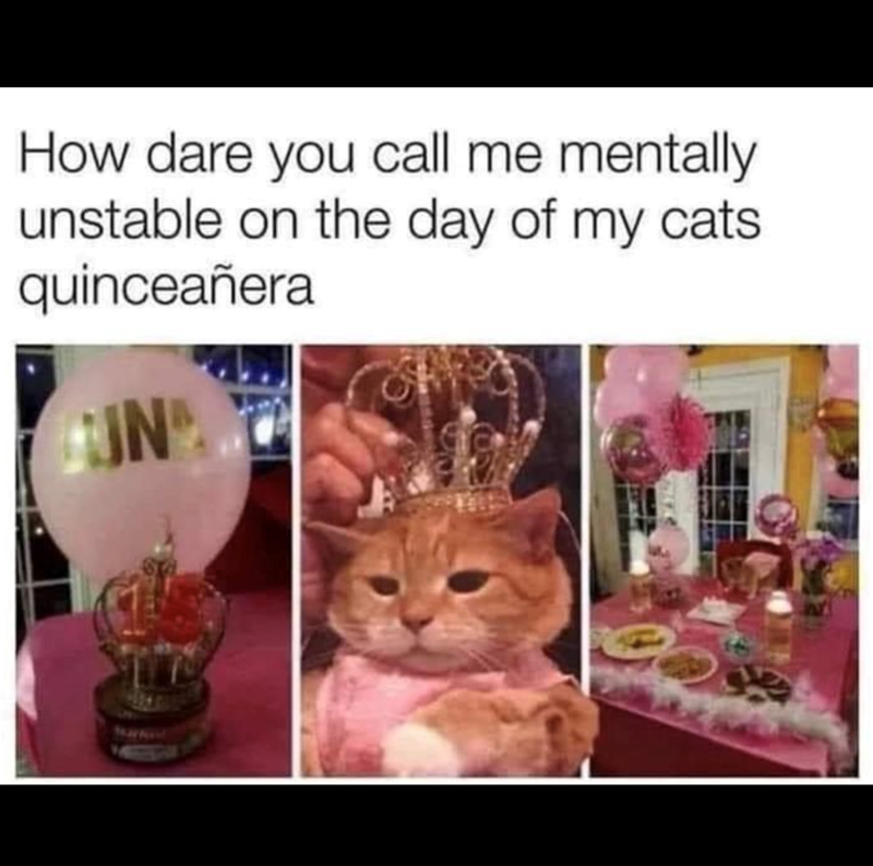 How dare you call me mentally unstable on the day of my cats. quinceañera UN