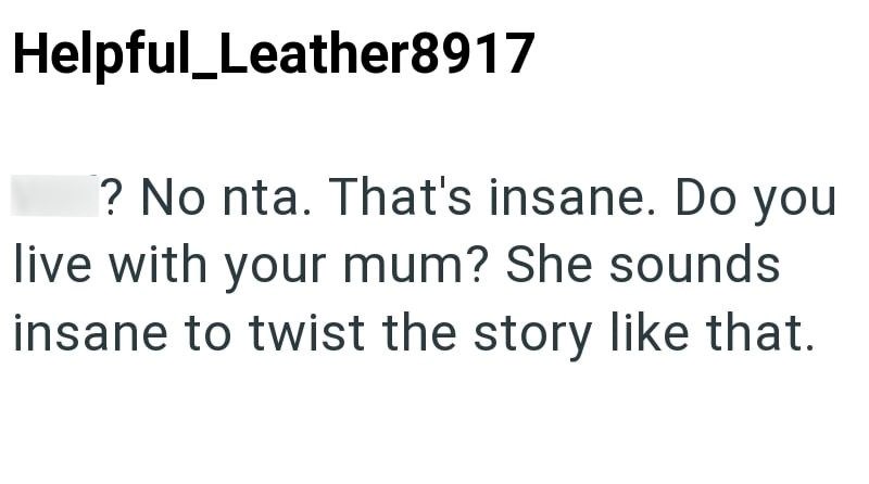 Helpful_Leather8917 ? No nta. That's insane. Do you live with your mum? She sounds insane to twist the story like that.