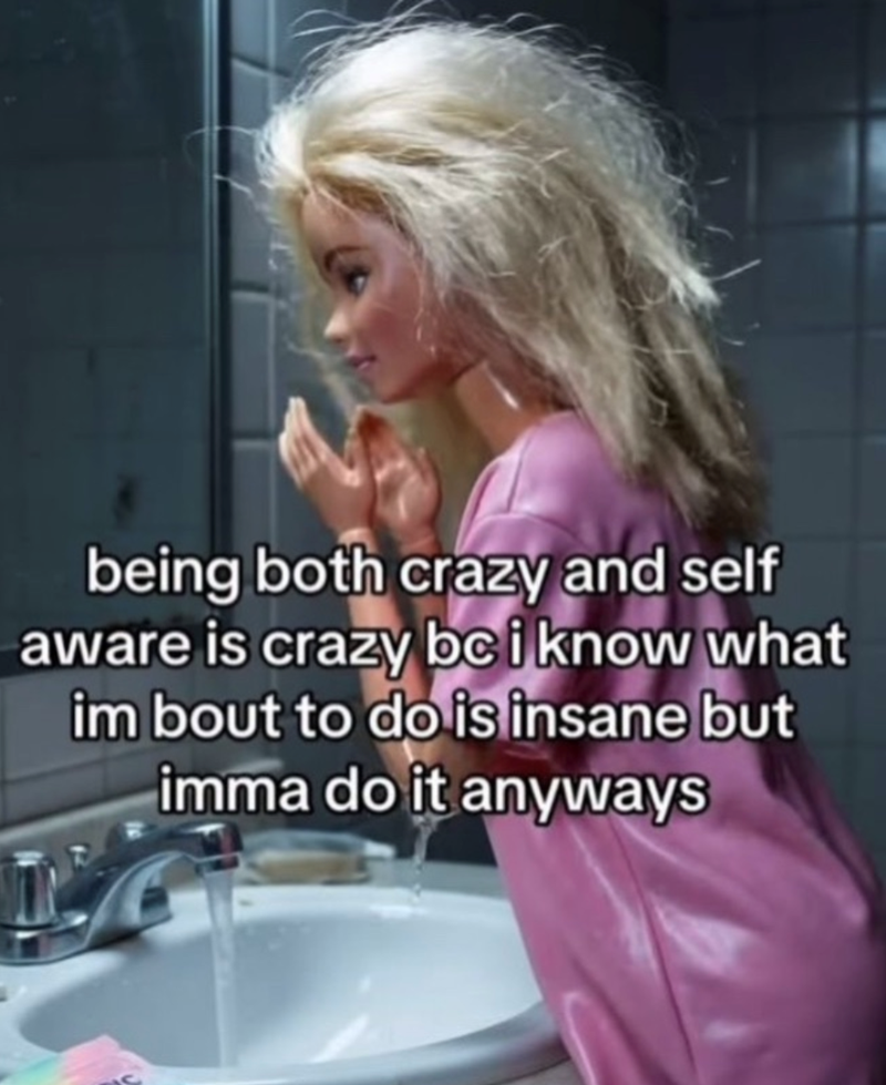 being both crazy and self aware is crazy be i know what im bout to do is insane but imma do it anyways