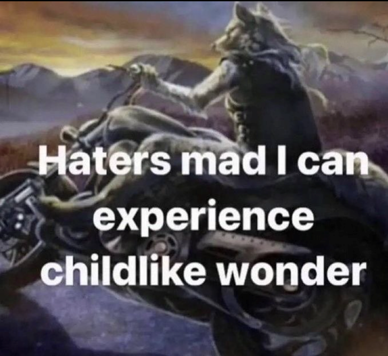 Haters mad I can experience childlike wonder