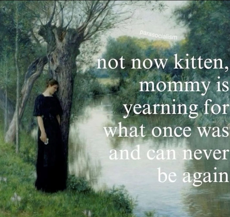 parasocialism not now kitten, mommy is yearning for what once was and can never be again