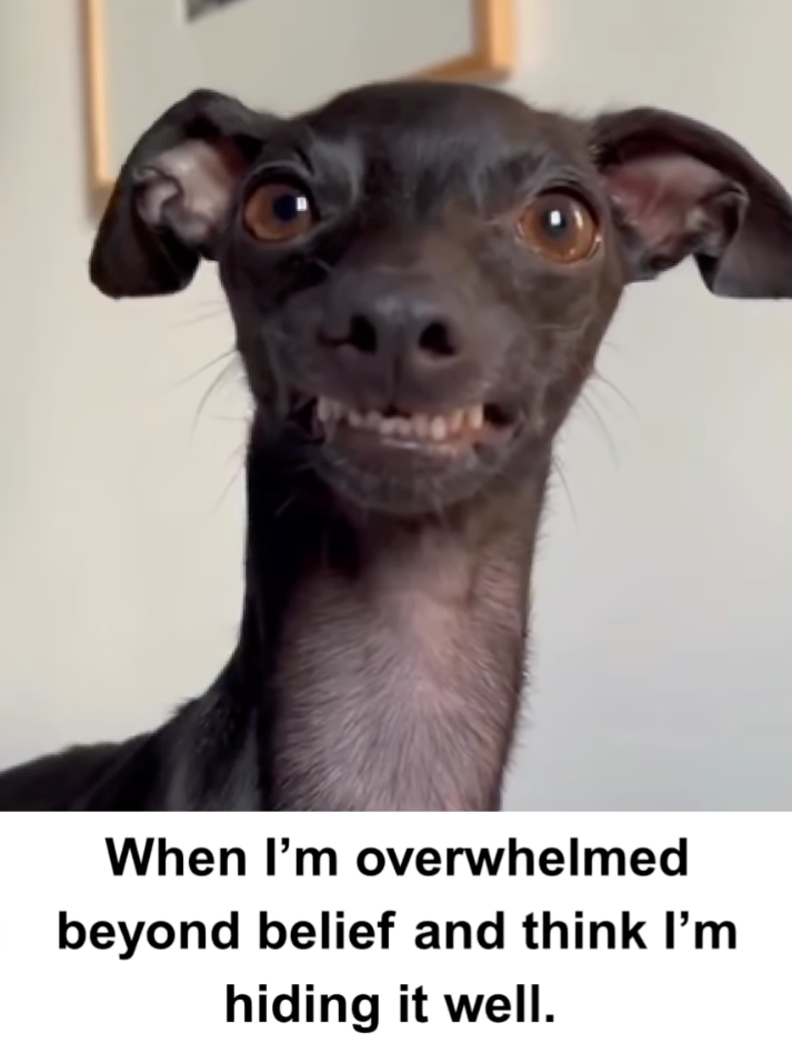 When I'm overwhelmed beyond belief and think I'm hiding it well.