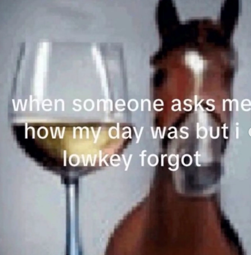 when someone asks me how my day was but i lowkey forgot