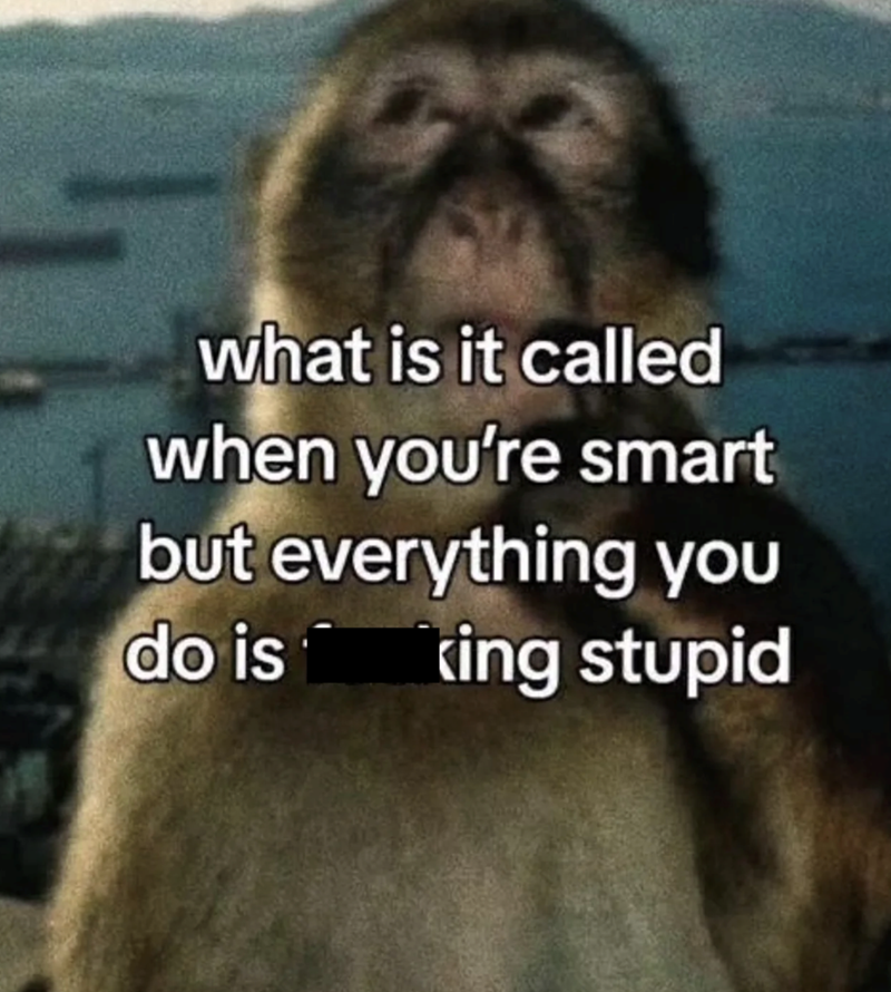 what is it called when you're smart but everything you do is king stupid