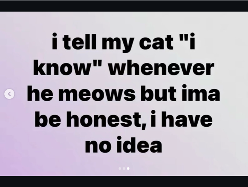 i tell my cat "i know" whenever he meows but ima be honest, i have no idea