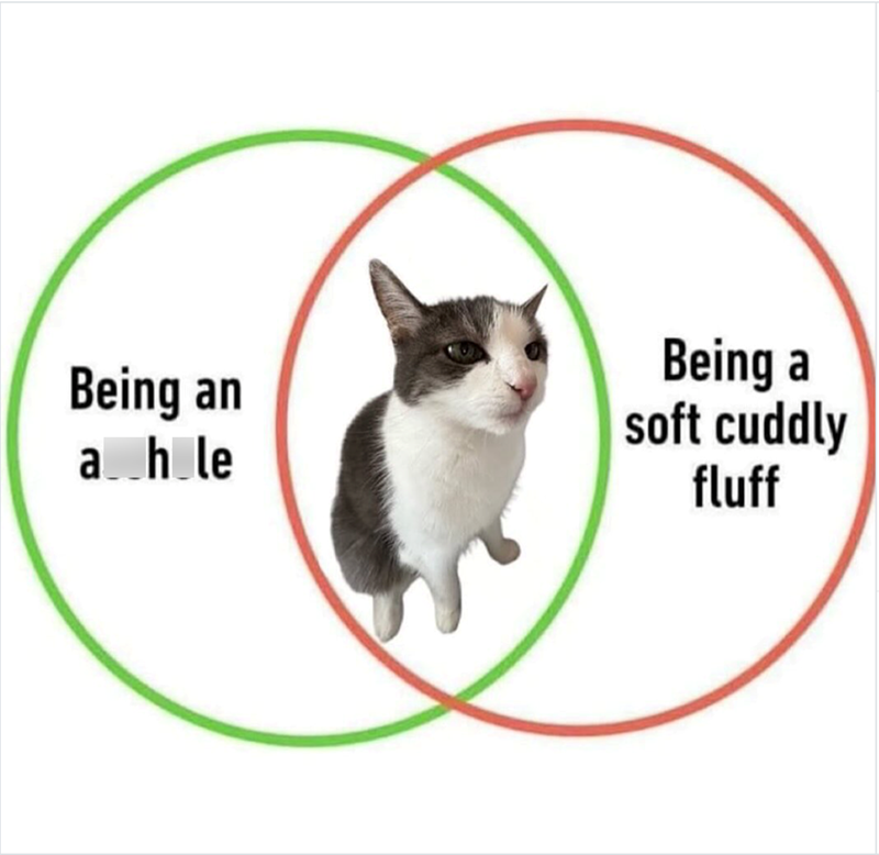 Being an ahle Being a soft cuddly fluff