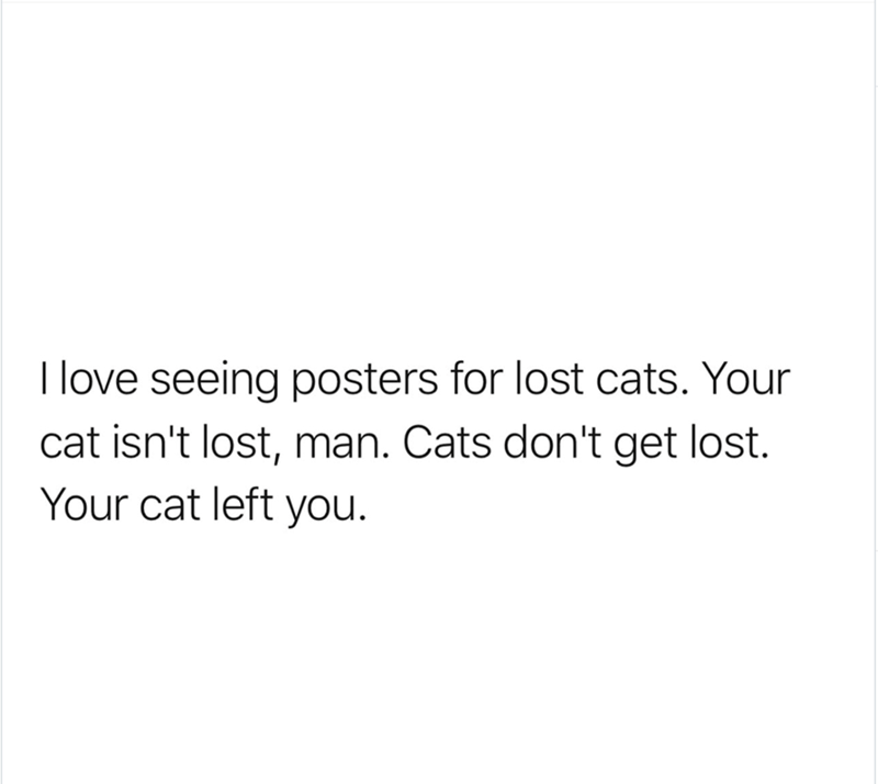 I love seeing posters for lost cats. Your cat isn't lost, man. Cats don't get lost. Your cat left you.