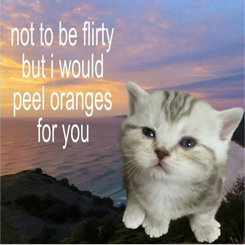 not to be flirty but i would peel oranges for you