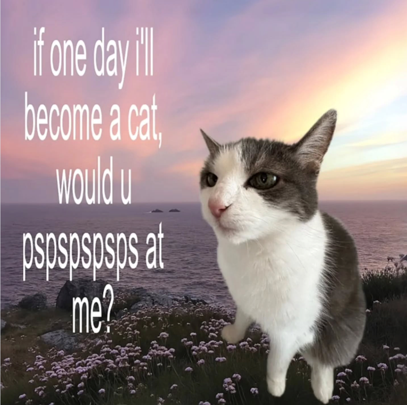 if one day ill become a cat, would u pspspspsps at me?