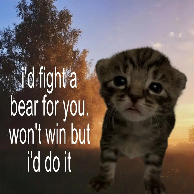 I'd fight a bear for you. won't win but i'd do it