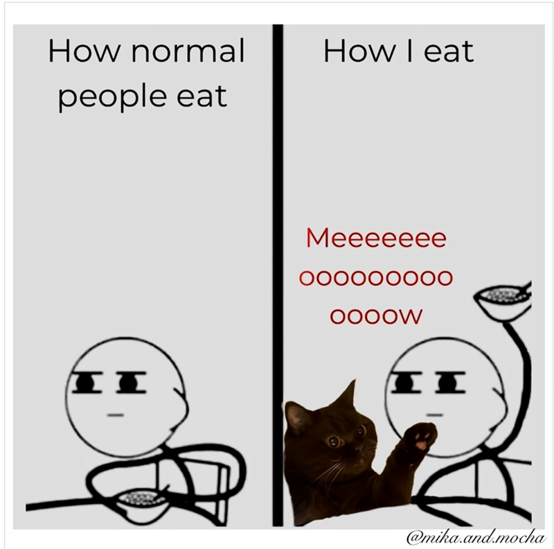 How normal people eat How I eat I I Meeeeeee 000000000 OOOOW II @mika.and.mocha