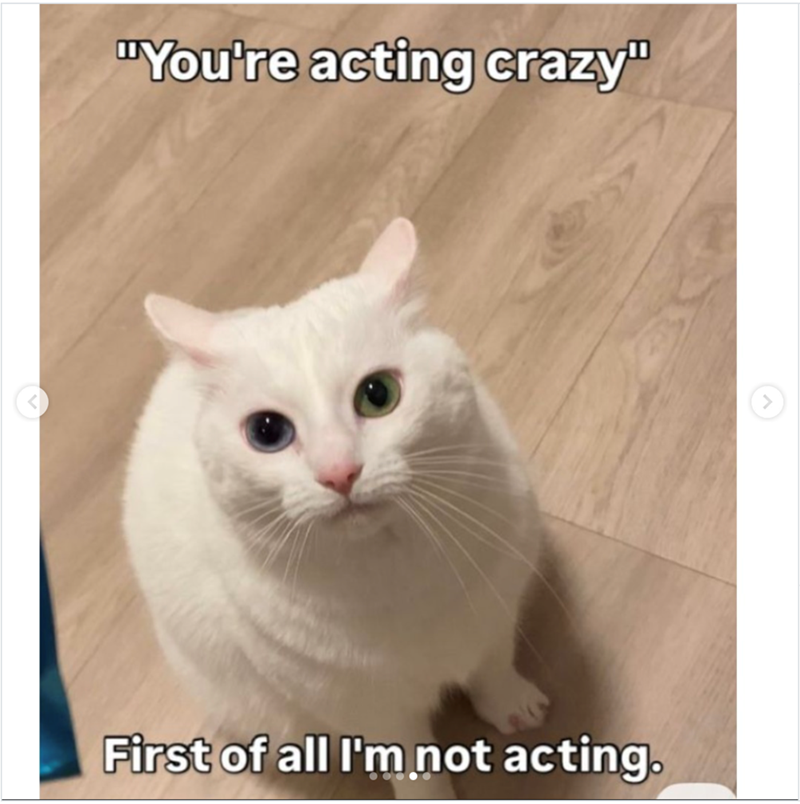 "You're acting crazy" First of all I'm not acting.