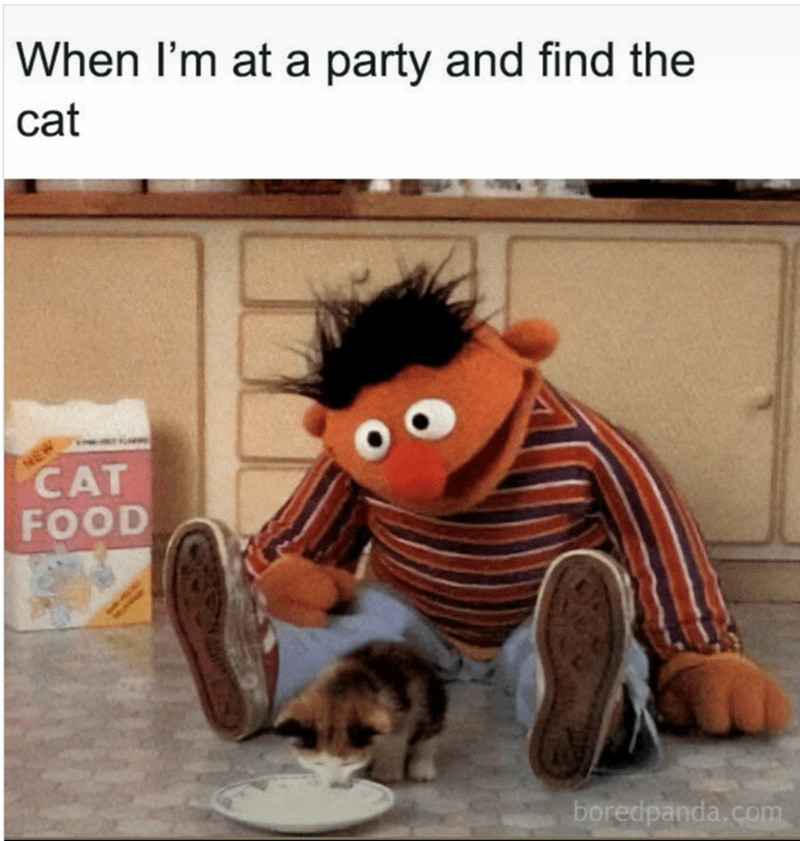 NEW When I'm at a party and find the cat CAT FOOD boredpanda.com