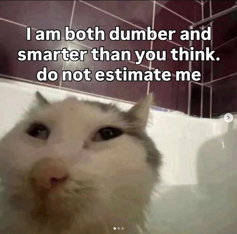 I am both dumber and smarter than you think. do not estimate me